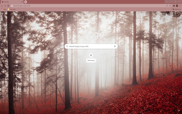 Misty Fall Forest Wallpaper Theme  from Chrome web store to be run with OffiDocs Chromium online