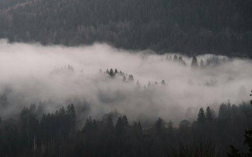 Misty Forest Landscape with Dense Fog  from Chrome web store to be run with OffiDocs Chromium online