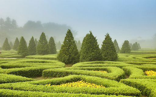 Misty Garden Maze  from Chrome web store to be run with OffiDocs Chromium online