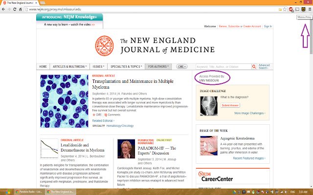 Mizzou Proxy  from Chrome web store to be run with OffiDocs Chromium online
