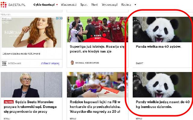 Mniej pandemii, więcej pand  from Chrome web store to be run with OffiDocs Chromium online Mniej pandemii, więcej pand  from Chrome web store to be run with OffiDocs Chromium online