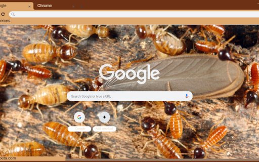 Moi from Chrome web store to be run with OffiDocs Chromium online Moi from Chrome web store to be run with OffiDocs Chromium online