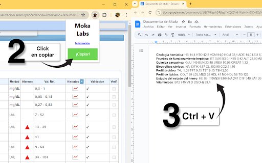 Moka Labs  from Chrome web store to be run with OffiDocs Chromium online