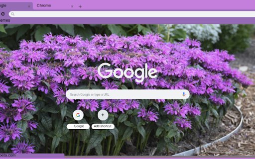 Monarda  from Chrome web store to be run with OffiDocs Chromium online