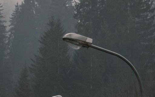 Moody Forest Scene with Silhouetted Streetlights  from Chrome web store to be run with OffiDocs Chromium online