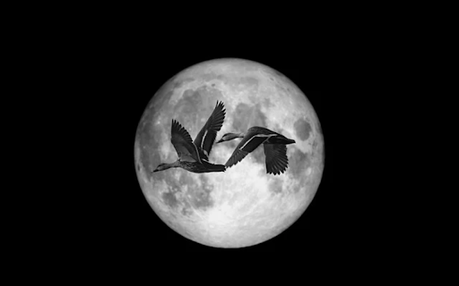 Moon Theme  from Chrome web store to be run with OffiDocs Chromium online
