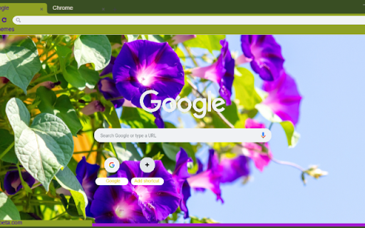 Morning Glory  from Chrome web store to be run with OffiDocs Chromium online