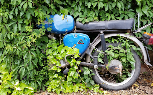 Motorcycle in the bushes  from Chrome web store to be run with OffiDocs Chromium online