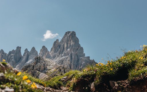 Mountain flowers and clouds from Chrome web store to be run with OffiDocs Chromium online Mountain flowers and clouds from Chrome web store to be run with OffiDocs Chromium online