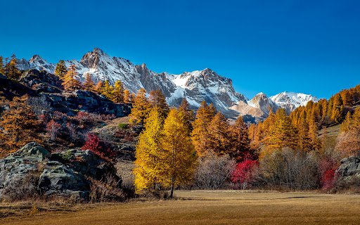Mountains Covered in Snow and Autumn Trees  from Chrome web store to be run with OffiDocs Chromium online