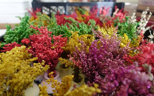 Multi colored baby flowers  from Chrome web store to be run with OffiDocs Chromium online