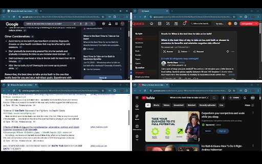 Multi Perspective Search  from Chrome web store to be run with OffiDocs Chromium online