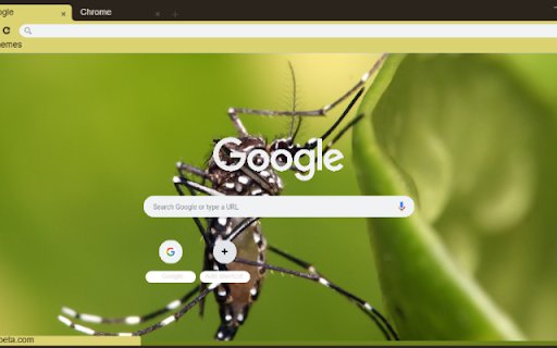 Muoi  from Chrome web store to be run with OffiDocs Chromium online