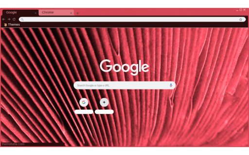 Mushroom Gills from Chrome web store to be run with OffiDocs Chromium online Mushroom Gills from Chrome web store to be run with OffiDocs Chromium online