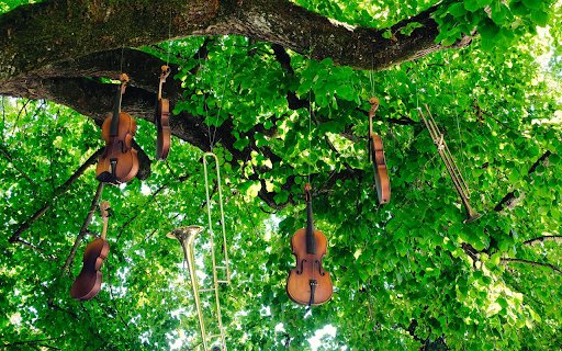 Musical instrument trees  from Chrome web store to be run with OffiDocs Chromium online