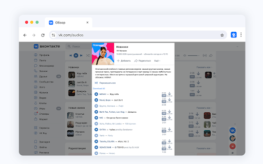Music Downloader VKsaver  from Chrome web store to be run with OffiDocs Chromium online