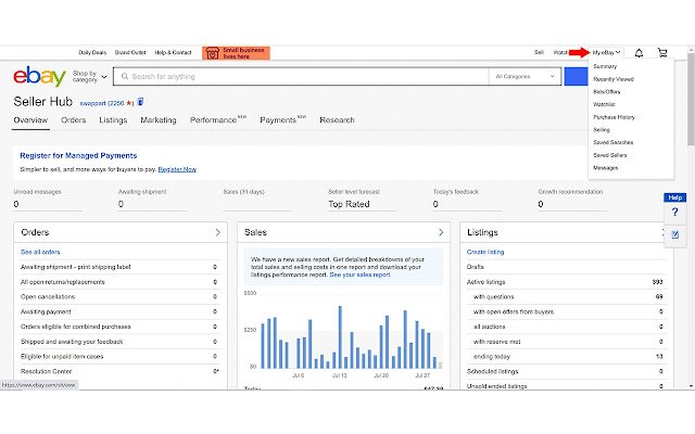 Mon eBay ouvre Seller Hub de la boutique en ligne Chrome pour être exécuté avec OffiDocs Chromium en ligne