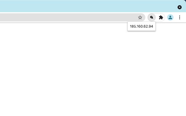 MyIPAddress  from Chrome web store to be run with OffiDocs Chromium online