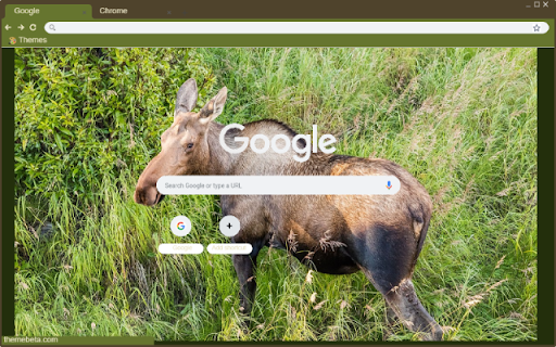 Nai lang  from Chrome web store to be run with OffiDocs Chromium online