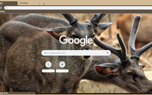 Nai Sambar from Chrome web store to be run with OffiDocs Chromium online Nai Sambar from Chrome web store to be run with OffiDocs Chromium online