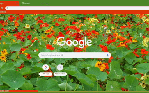 Nasturtium  from Chrome web store to be run with OffiDocs Chromium online
