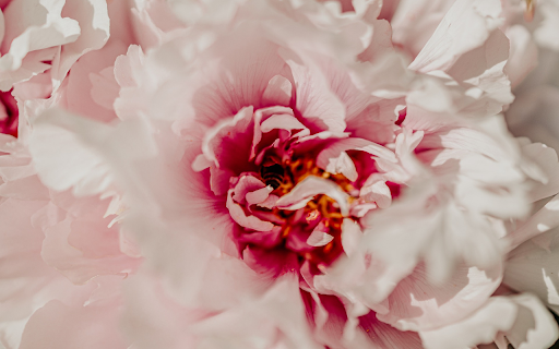 National color  from Chrome web store to be run with OffiDocs Chromium online