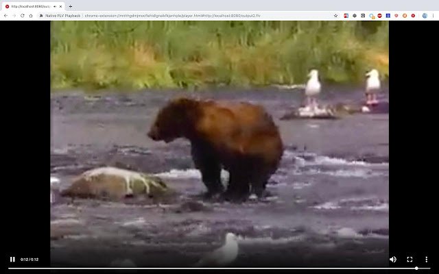 Native FLV Playback  from Chrome web store to be run with OffiDocs Chromium online