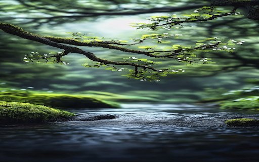 Natural stream wallpaper  from Chrome web store to be run with OffiDocs Chromium online