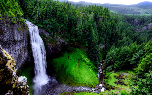 Nature  Forest Theme  from Chrome web store to be run with OffiDocs Chromium online