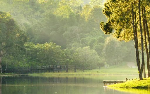 Nature I9  from Chrome web store to be run with OffiDocs Chromium online