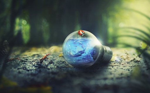 Nature Outdoors  from Chrome web store to be run with OffiDocs Chromium online