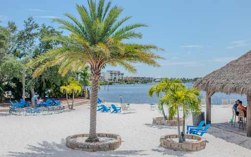 Navy blue chairs  from Chrome web store to be run with OffiDocs Chromium online Navy blue chairs  from Chrome web store to be run with OffiDocs Chromium online