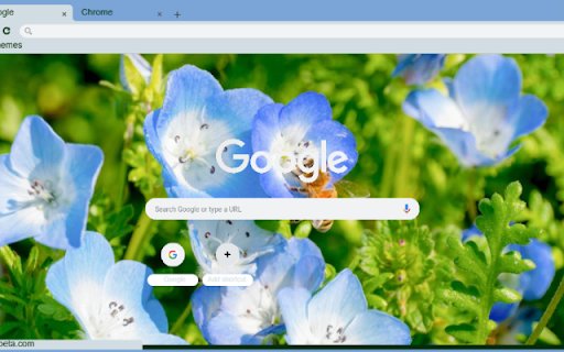 Nemophila  from Chrome web store to be run with OffiDocs Chromium online