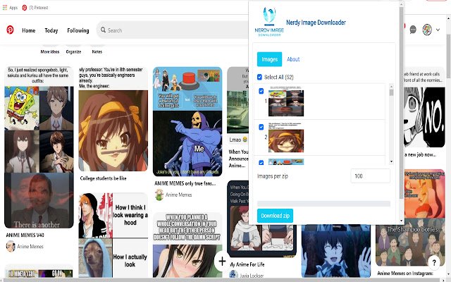 Nerdy Image Downloader  from Chrome web store to be run with OffiDocs Chromium online