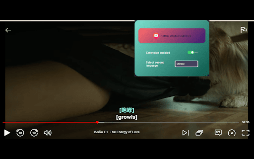 Netflix Double Subtitles  from Chrome web store to be run with OffiDocs Chromium online