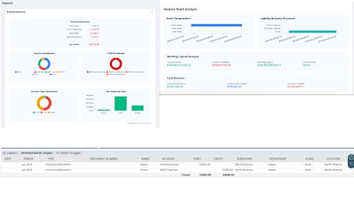 NetSuite Advanced Analytics  from Chrome web store to be run with OffiDocs Chromium online
