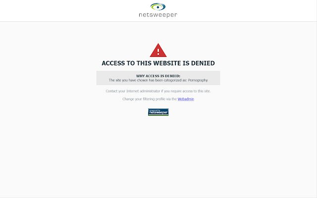 Netsweeper Client Filter  from Chrome web store to be run with OffiDocs Chromium online
