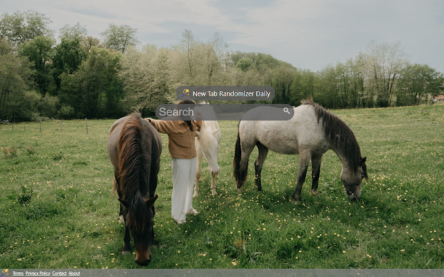New Tab Randomizer Daily  from Chrome web store to be run with OffiDocs Chromium online