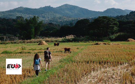 Đồng lúa  from Chrome web store to be run with OffiDocs Chromium online