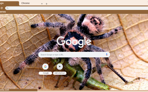 Nhen Hoang Da  from Chrome web store to be run with OffiDocs Chromium online