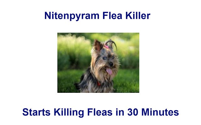 Chrome web mağazasından Nitenpyram Flea Killer, OffiDocs Chromium çevrimiçi ile çalıştırılacak