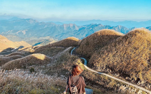 Nui Cuong Long  from Chrome web store to be run with OffiDocs Chromium online