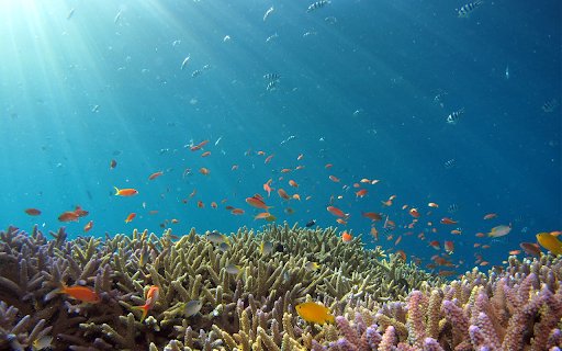 Oceanfish Theme  from Chrome web store to be run with OffiDocs Chromium online