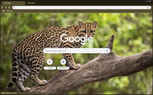 Ocelot  from Chrome web store to be run with OffiDocs Chromium online
