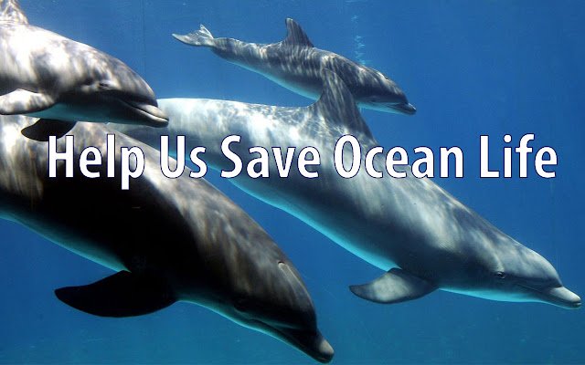 OCG Saving Ocean Life da Chrome Web Store será executado com OffiDocs Chromium online