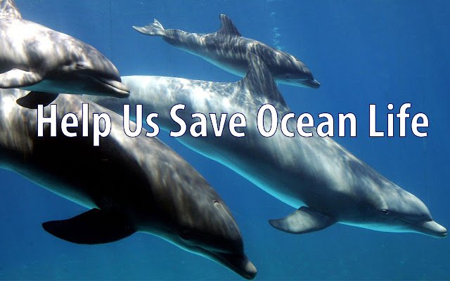 OCG Saving Ocean Life  from Chrome web store to be run with OffiDocs Chromium online