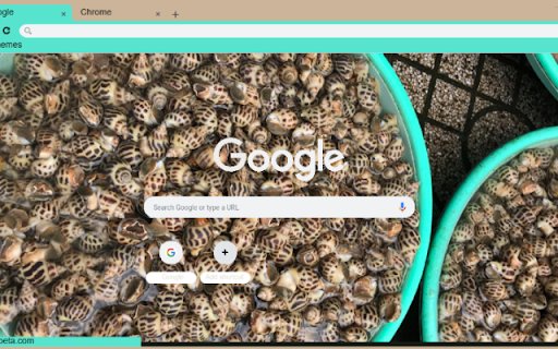Oc Huong from Chrome web store to be run with OffiDocs Chromium online Oc Huong from Chrome web store to be run with OffiDocs Chromium online
