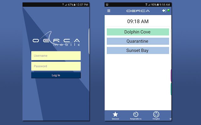 OERCA Mobile  from Chrome web store to be run with OffiDocs Chromium online