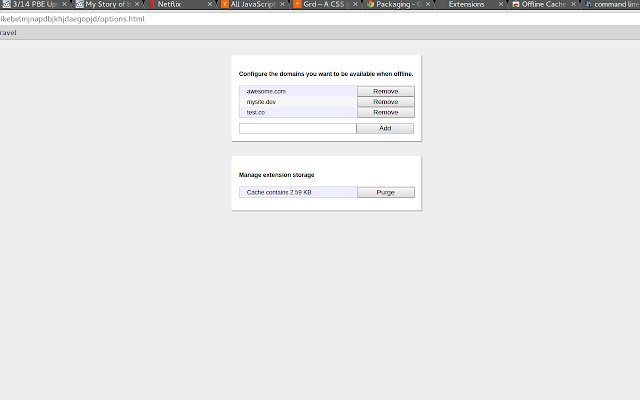 Offline Cache  from Chrome web store to be run with OffiDocs Chromium online