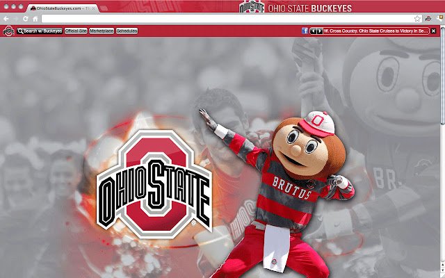 Ohio State University Theme mula sa Chrome web store na tatakbo sa OffiDocs Chromium online